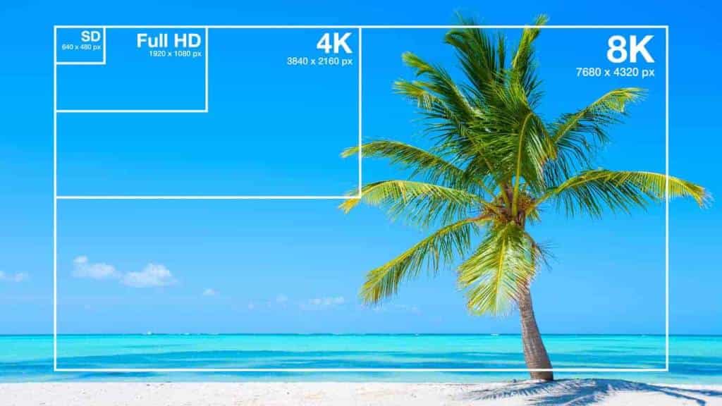 4 Reliable Sites for 4K Sample Video Download with Ease