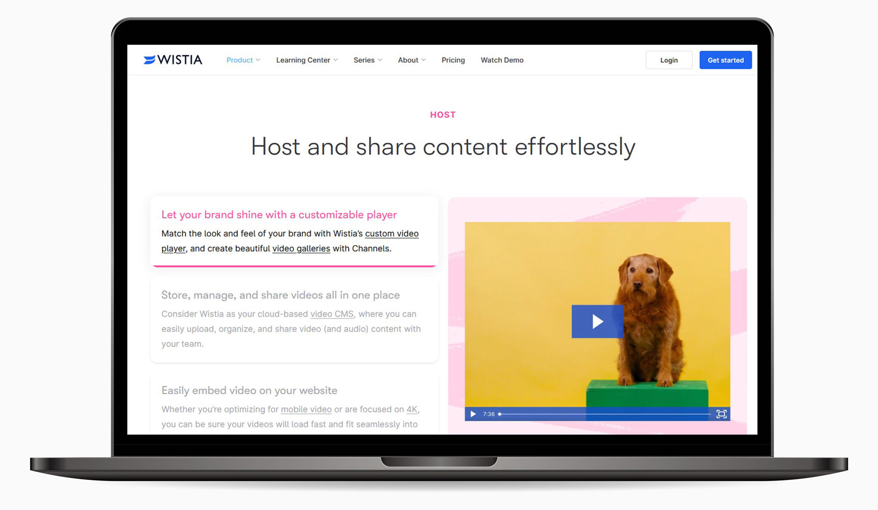 Wistia youtube alternative